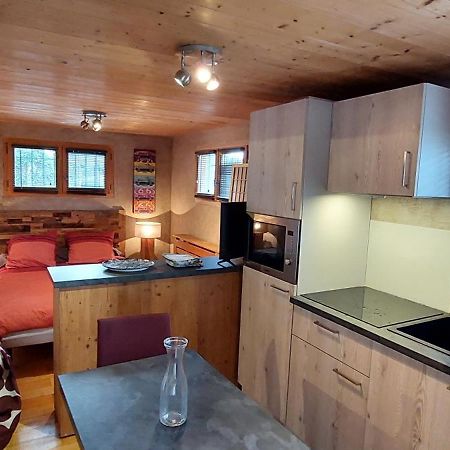 Studio Des Dents De Lanfon Talloires Eksteriør billede